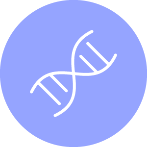 icon_research.png