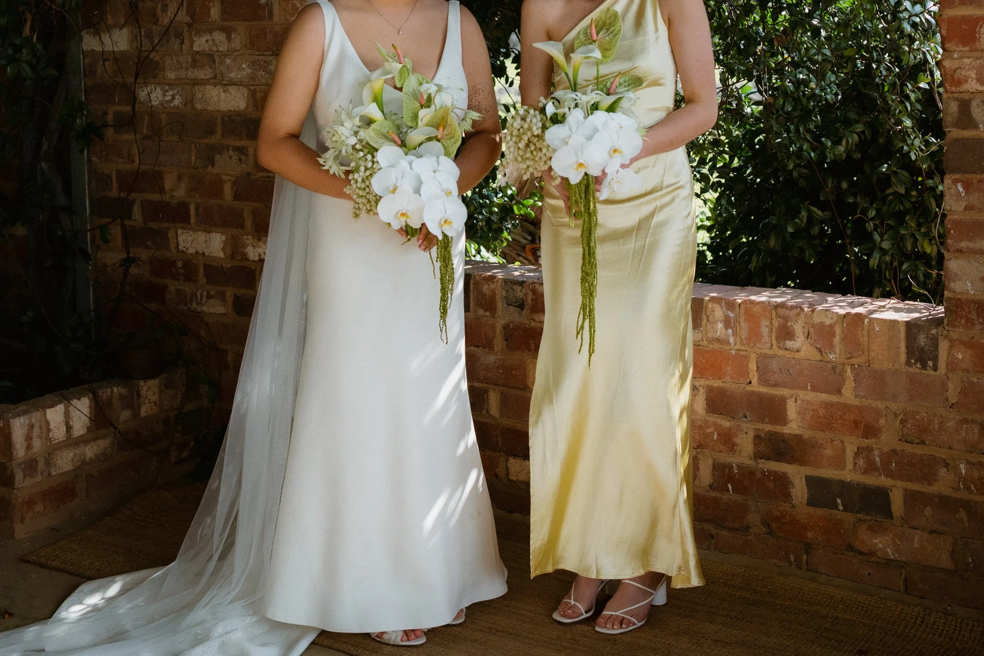 0020_Colcheedas_Photography_September 25, 2025__A7R8176.jpg