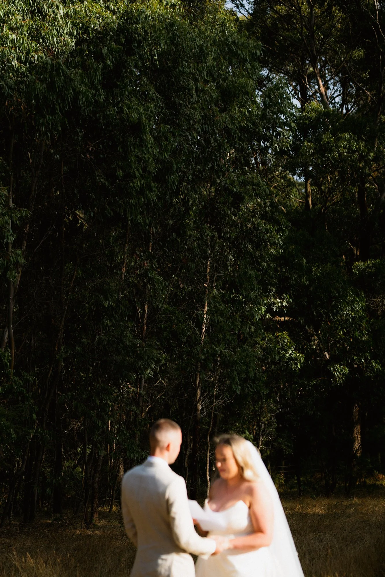 0087_Colcheedas_Photography_March 23, 2024__A7R5143.jpg