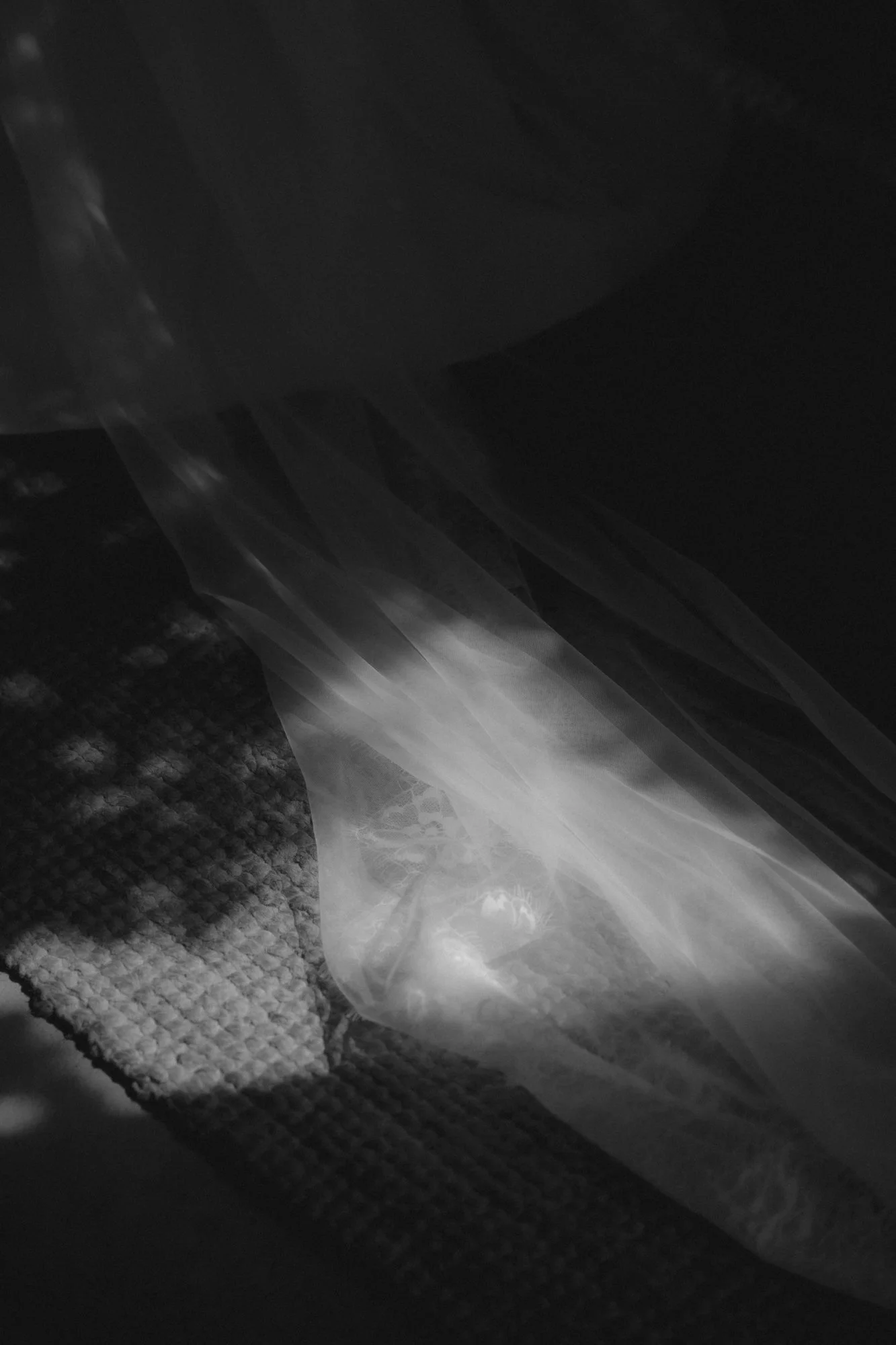 0004_Colcheedas_Photography_September 25, 2025__A735309.jpg