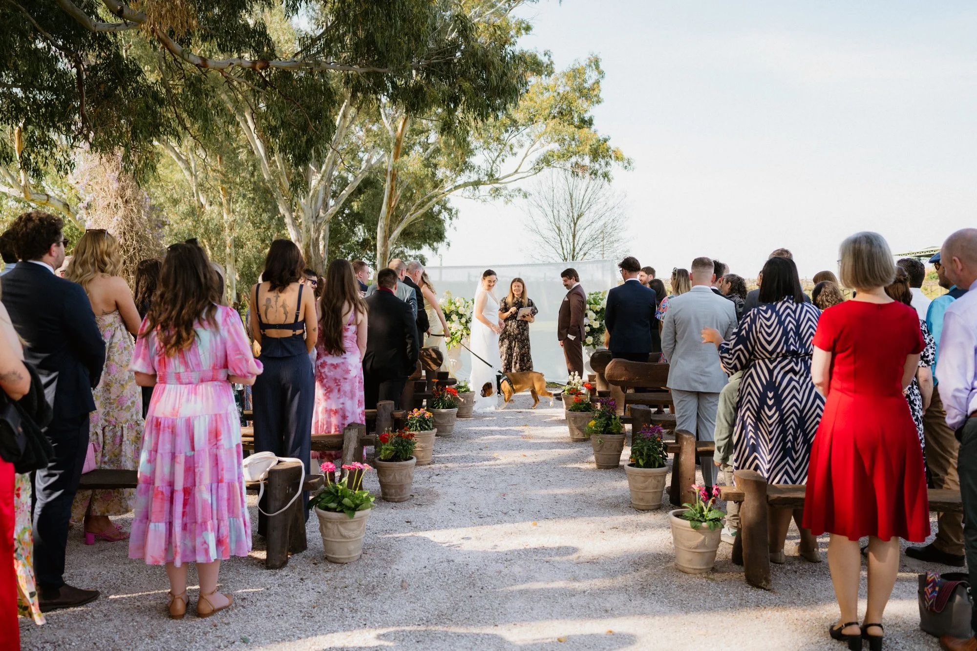 0037_Colcheedas_Photography_September 25, 2025__A7R8294.jpg