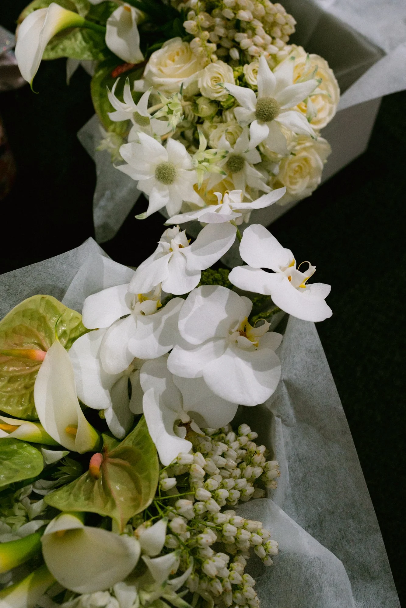 0013_Colcheedas_Photography_September 25, 2025__A7R8075.jpg