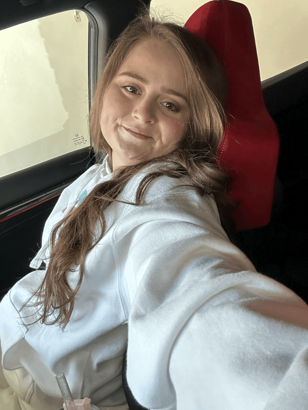 Unisex Passenger Princess Hooded Sweatshirt – HowIFheal