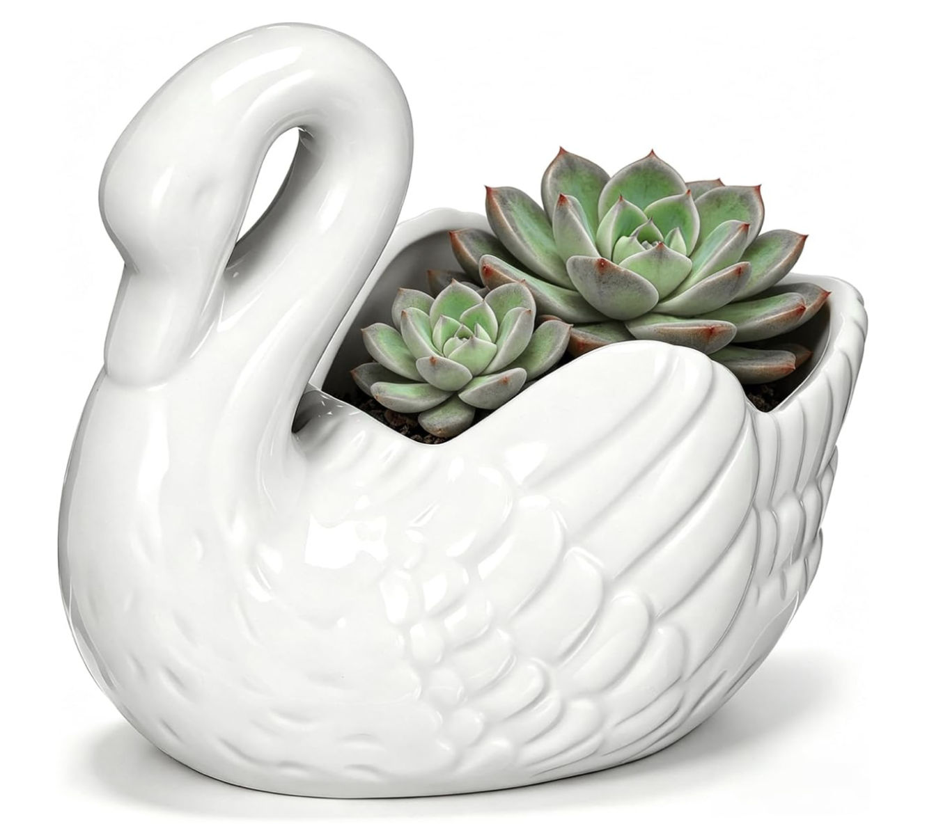 ceramic swan planter
