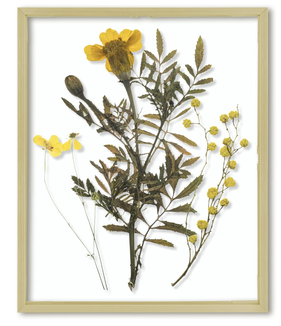 display pressed flowers in a floating frame