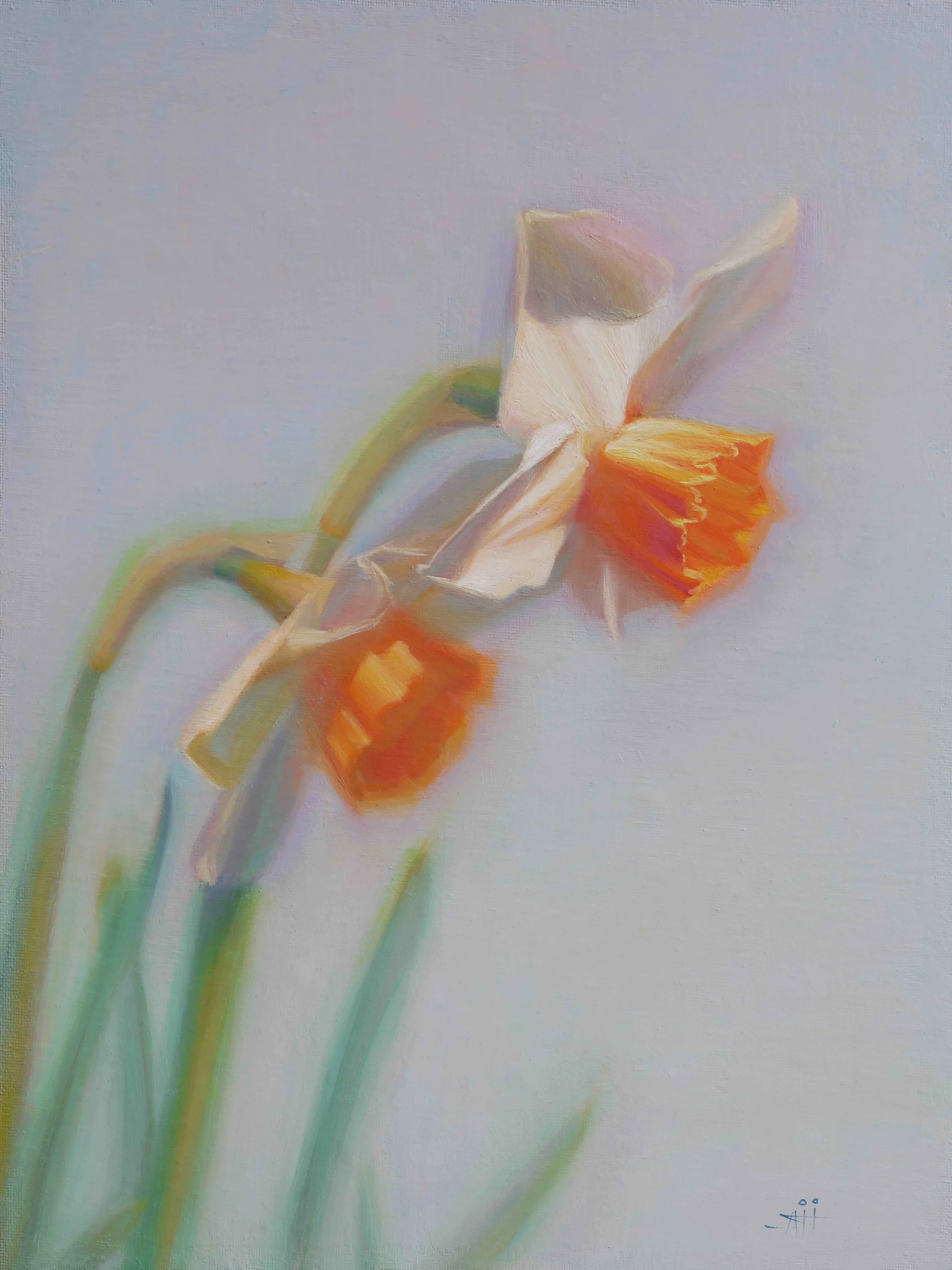 Dancing Sunbeams.jpg