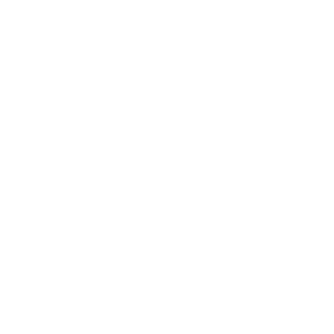 White Logo Angle Smaller.png