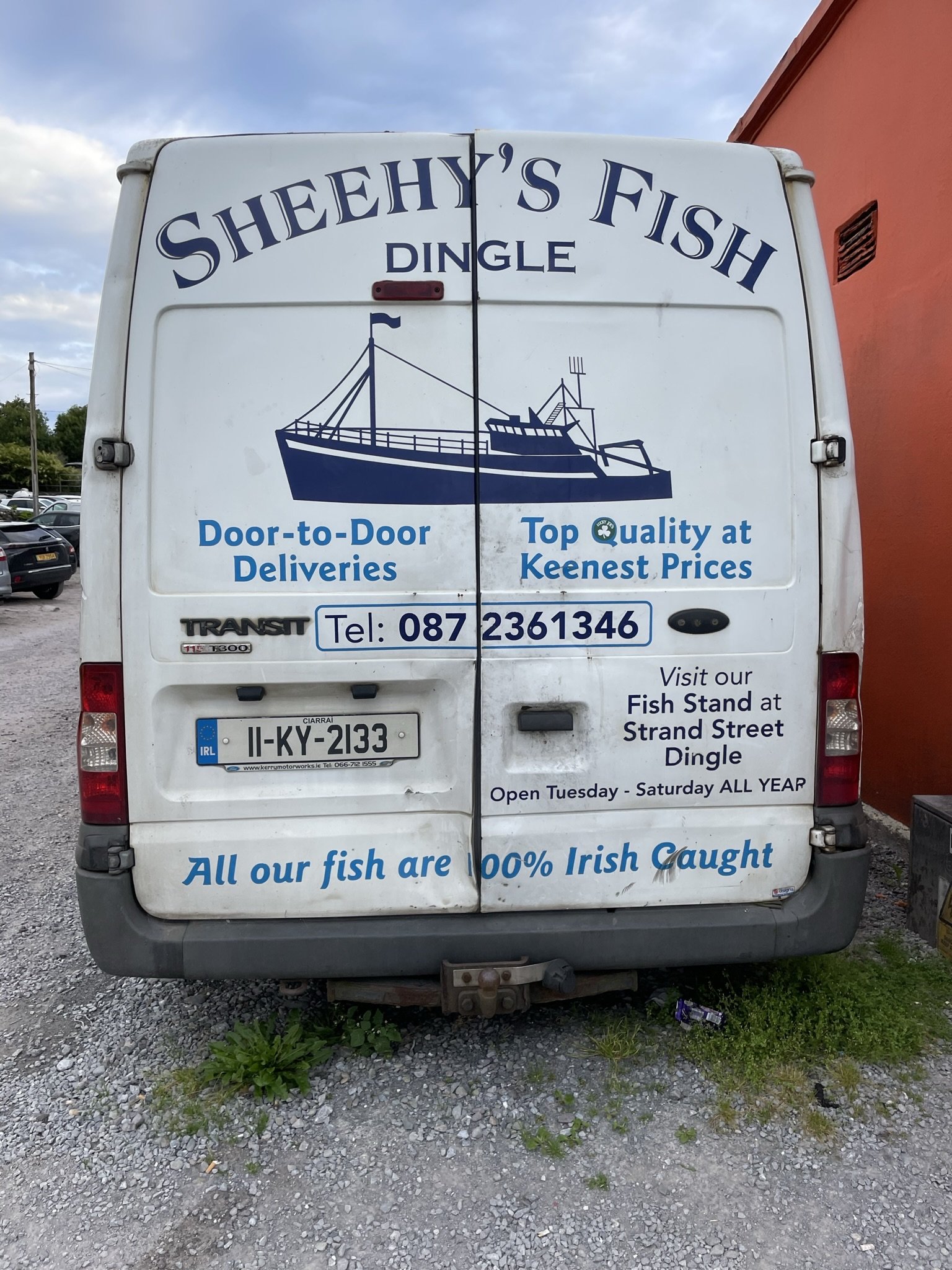 Sheenans fish.jpg