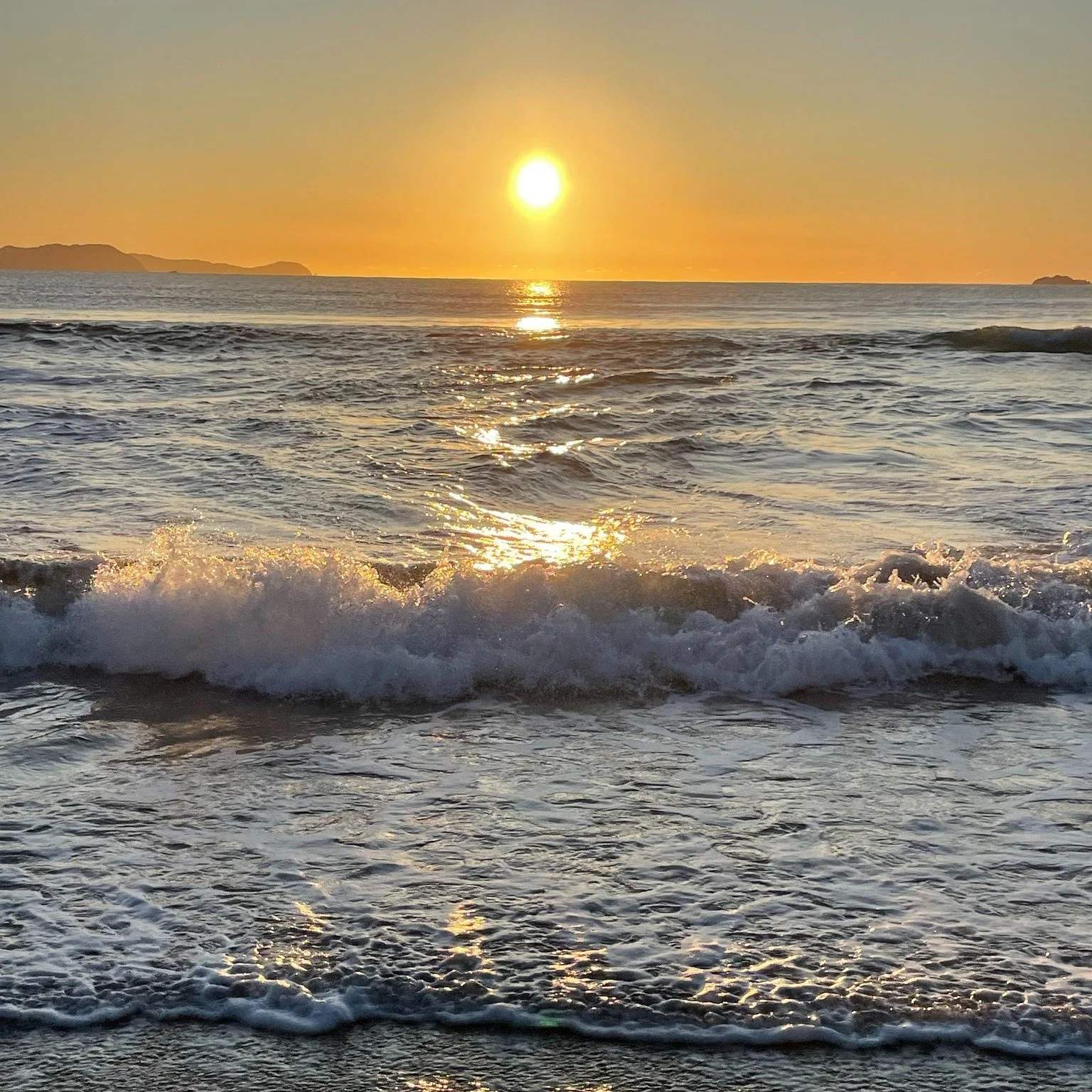 Every year we test our sea salt for minerality. It's why we can claim to be NZ's most mineral rich sea salt. Its a function of place and method. There's no processing of our sea salt. No washing, bleaching or boiling.

It is just the wonderful natura