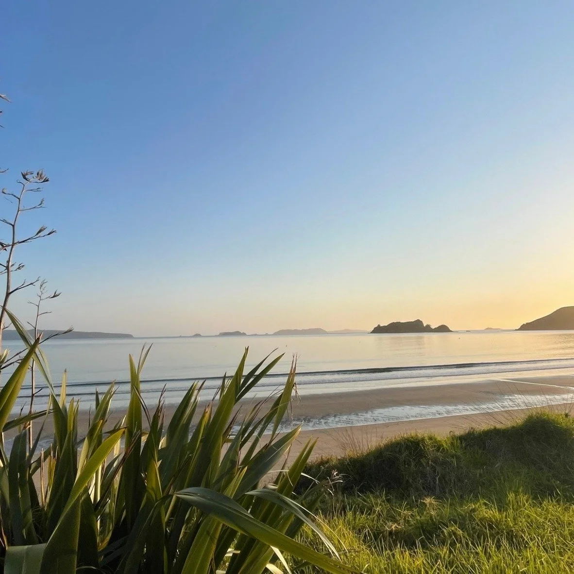 Perfect conditions for a sea water harvest. 
.
.
.
 #opitobaysaltco #coromandel #opitobaysalt #coromandelgoodforyoursoul #nzseasalt #awardwinning #naturalseasalt #mineralrichseasalt #coromandelseasalt #saltfarmers