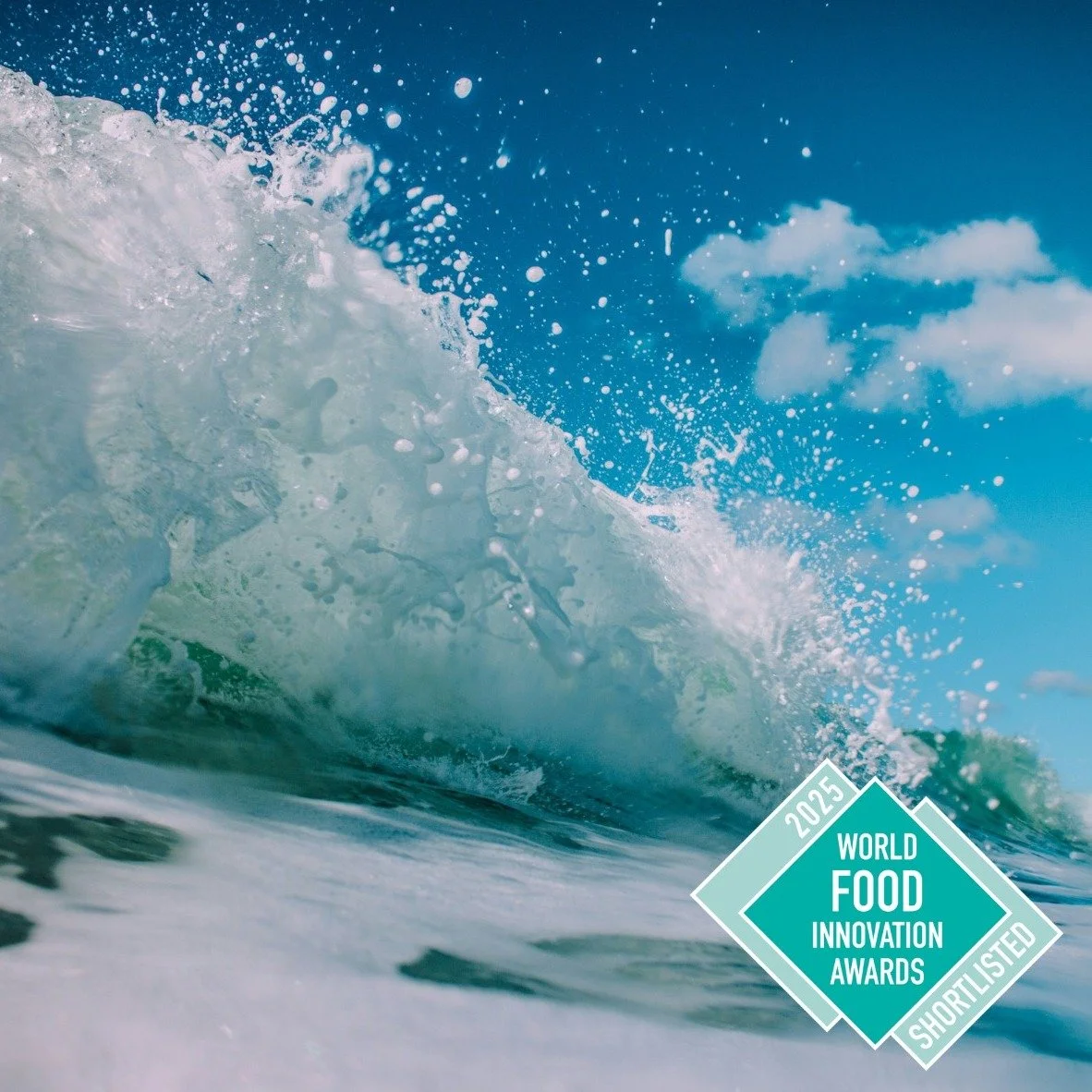 In 2025 three of our sea salts were recognised at the International Food Awards in London. The IFE Awards. 1600 entries from across the world.
🏆Opito Bay Natural sea salt
🏆Opito Bay Black Garlic sea salt 
🏆Opito Bay Rare Dry Gin sea salt
🥈🥈🥈
.
