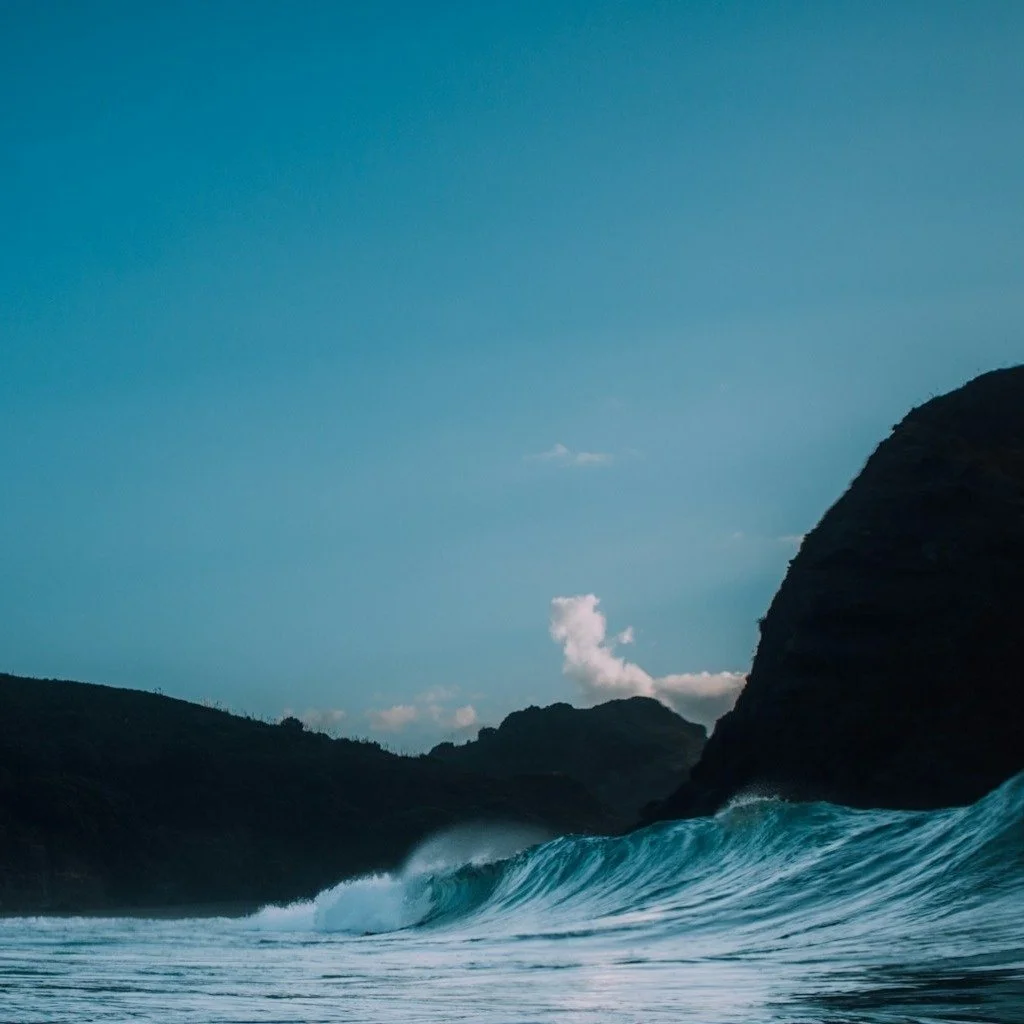 Just rugged and untouched Coromandel. The place we call home and where you'll find the most mineral rich, naturally made sea salt on the planet.
.
.
.
 #coromandelseasalt #saltfarmers #mineralrichseasalt #naturalseasalt #nzseasalt #coromandelgoodfory