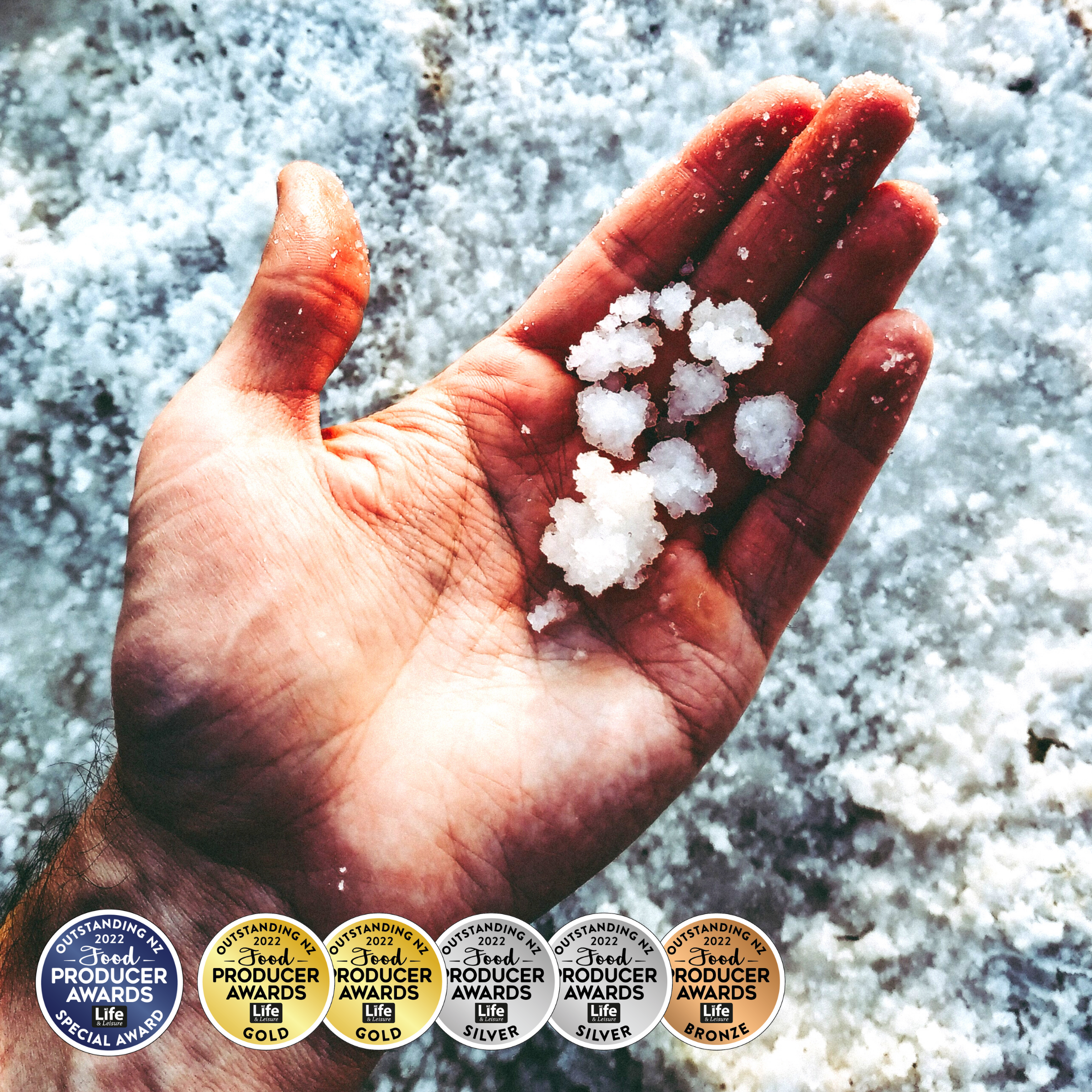 Hand awards (1) (2024_08_02 21_58_18 UTC).png