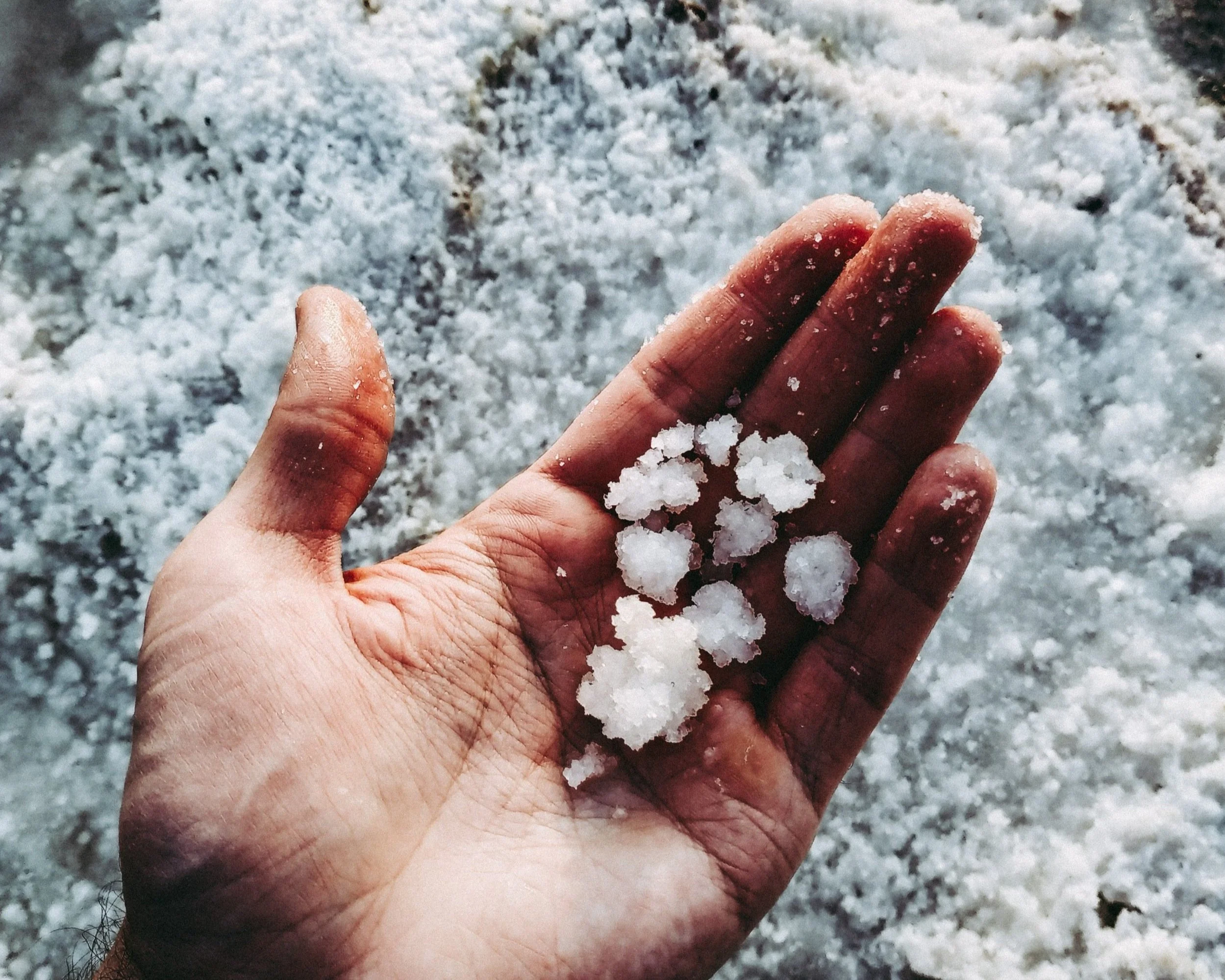 Bay Salt Discover the methods and history behind New Zealand's most awarded ...