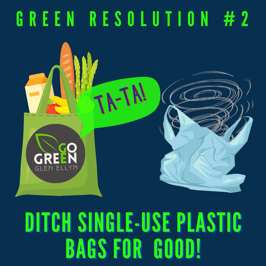 Green Resolution 2: Quit Plastic Bags!