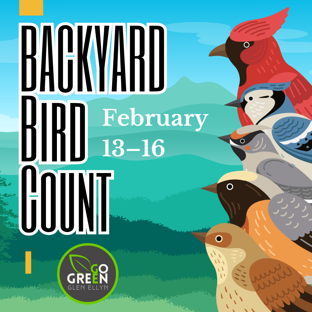 Great Backyard Bird Count