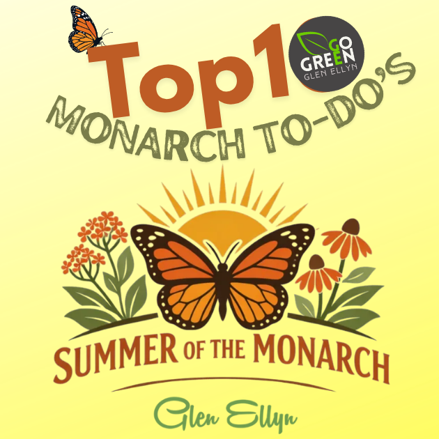 Summer of the Monarch Top 10 Things to do!