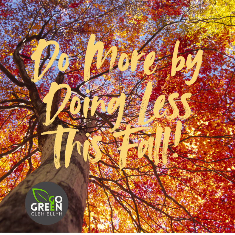 Go Green Glen Ellyn's Fall Guide to do More by Doing Less! 