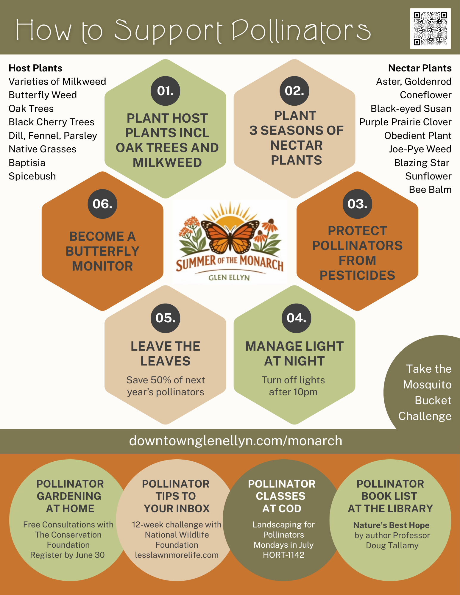How to support pollinators