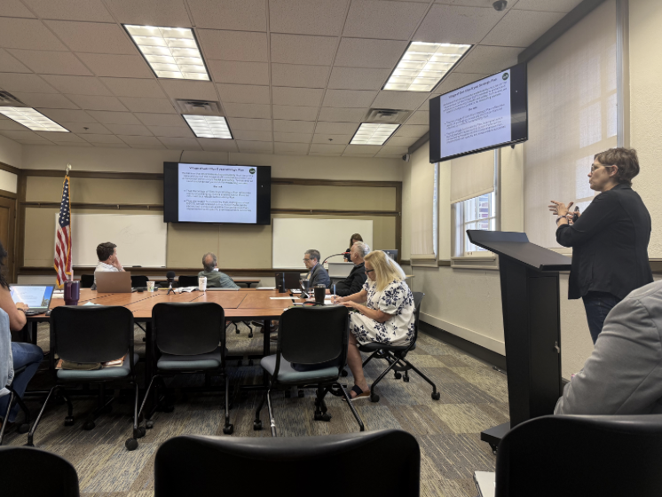 GGGE Co-founder Karin Daly speaking during public comment at the August 18 board workshop.