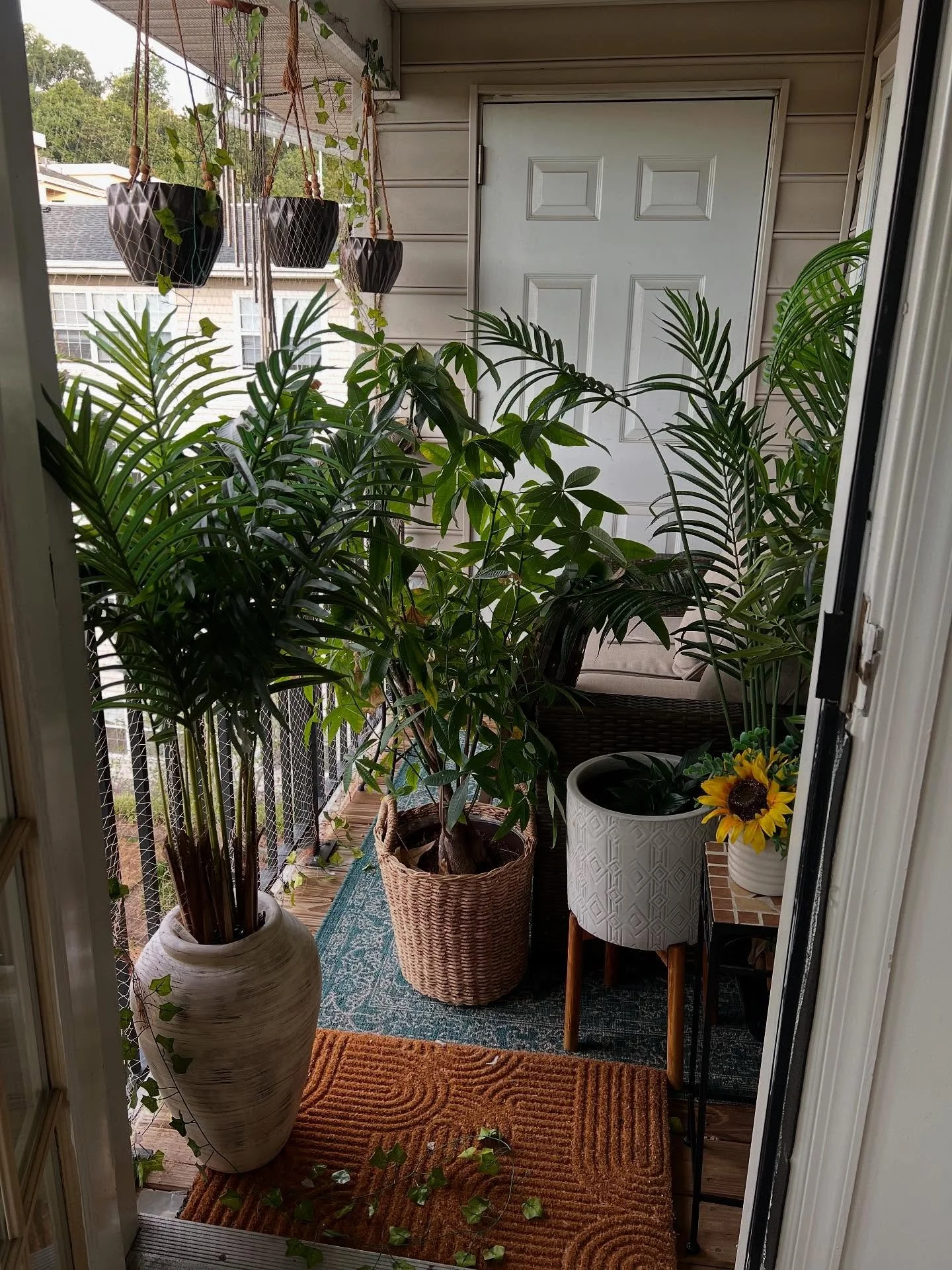 when the kids dont wanna come back inside after being outside with their friends… 
i really felt like they ganged up on me 😂
#plantmedicine #soulmedicine #natureknows #emptynesters