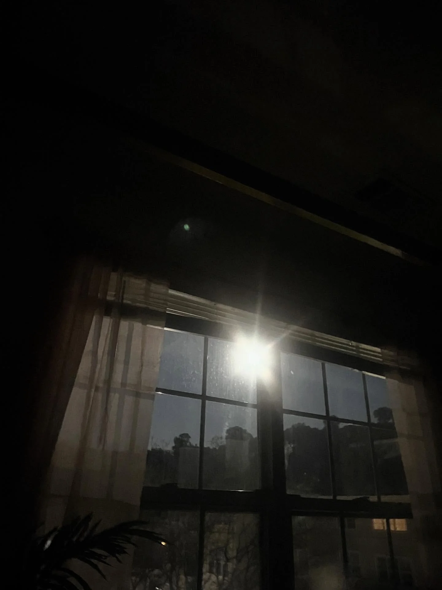 She woke me up this morning with a message… powerful in her presence,  unapologetically abundant, brilliantly bright, unmistakably magic. 
message received. 
#fullmoonpisces #natureknows