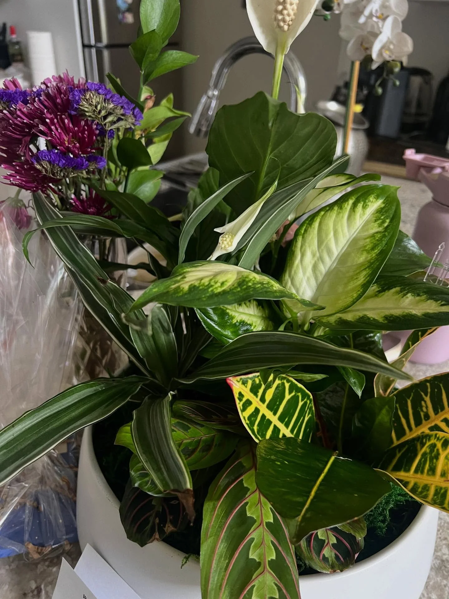 taking a moment to say thank you for the love and care i&rsquo;ve been shown over the past three long weeks.  every word of kindness, every check-in call, every door dash gift, every memory shared, every much-needed hug, every prayer, and every tree 