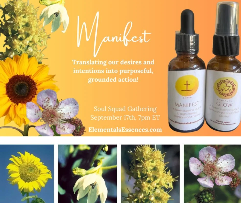 Let's go Virgo season! As the Earth Element kicks in it's time to get your life back in order. This month at @spirit_seed_school we are turning to our flower allies to help us MANIFEST our intentions:

🌻Sunflower- for radiant, glowing confidence 

?