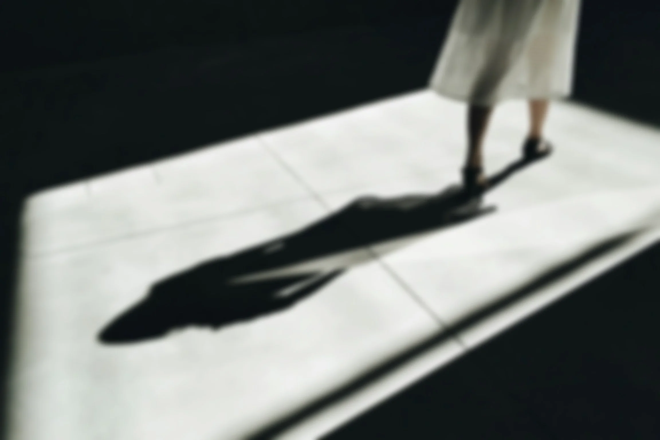 Embracing Your Shadows