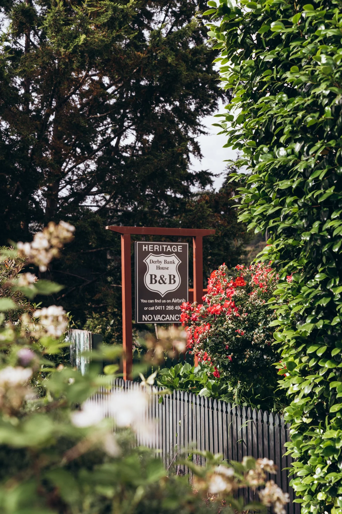 Front yard. Photo by simone.g imagery
