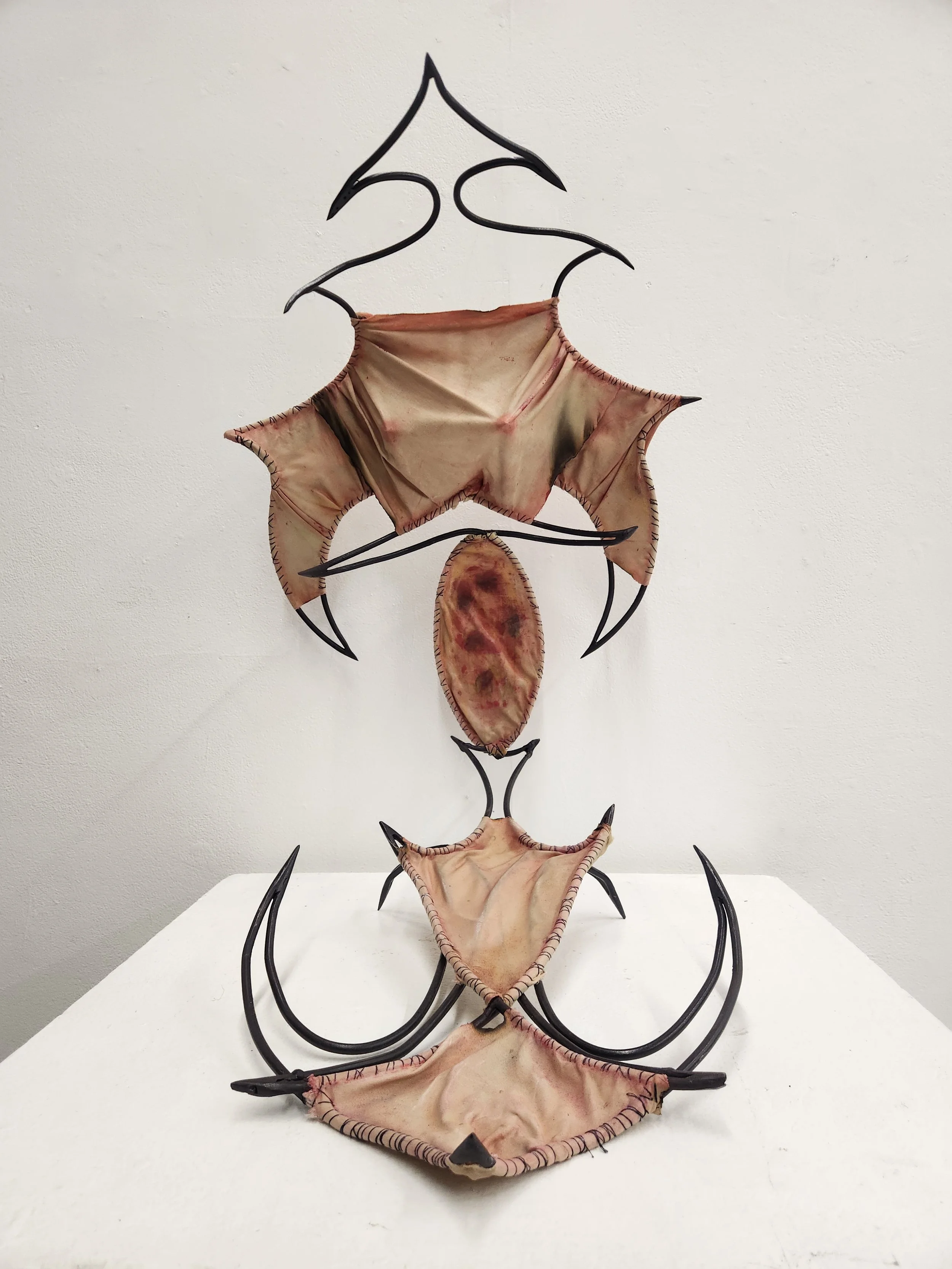 Brooke Rowen, "The Permanence of Skin"