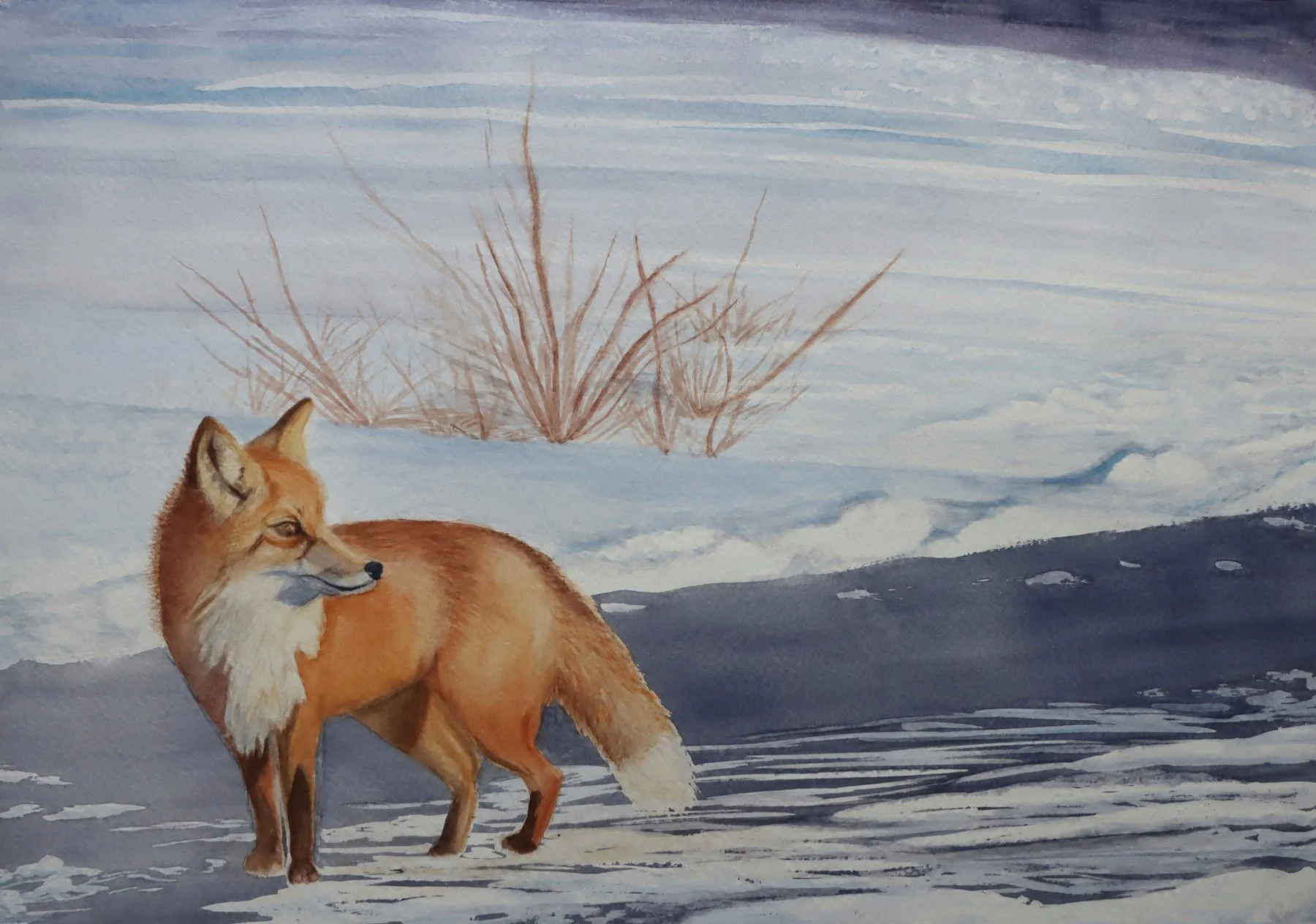 Megan Phelps, "Winter Stroll"