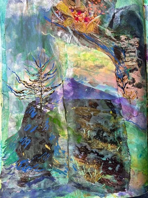 Wild Playground: Exploring and Imagining