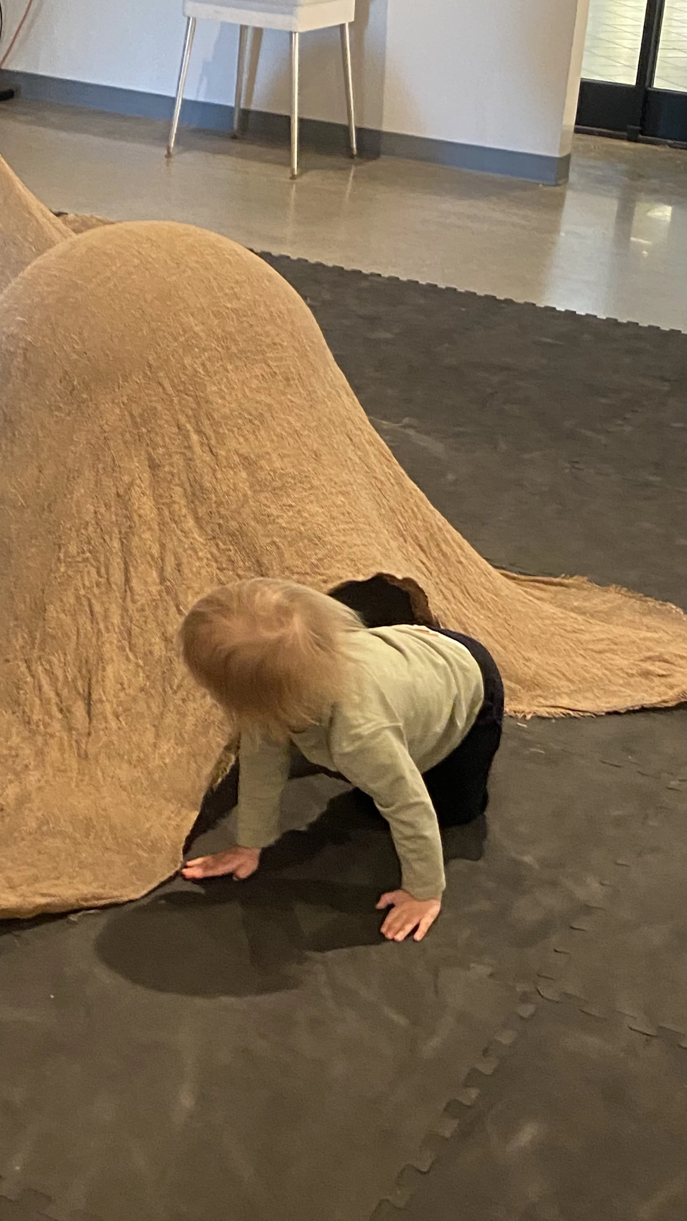 Animal Dances PreSchool Exploration