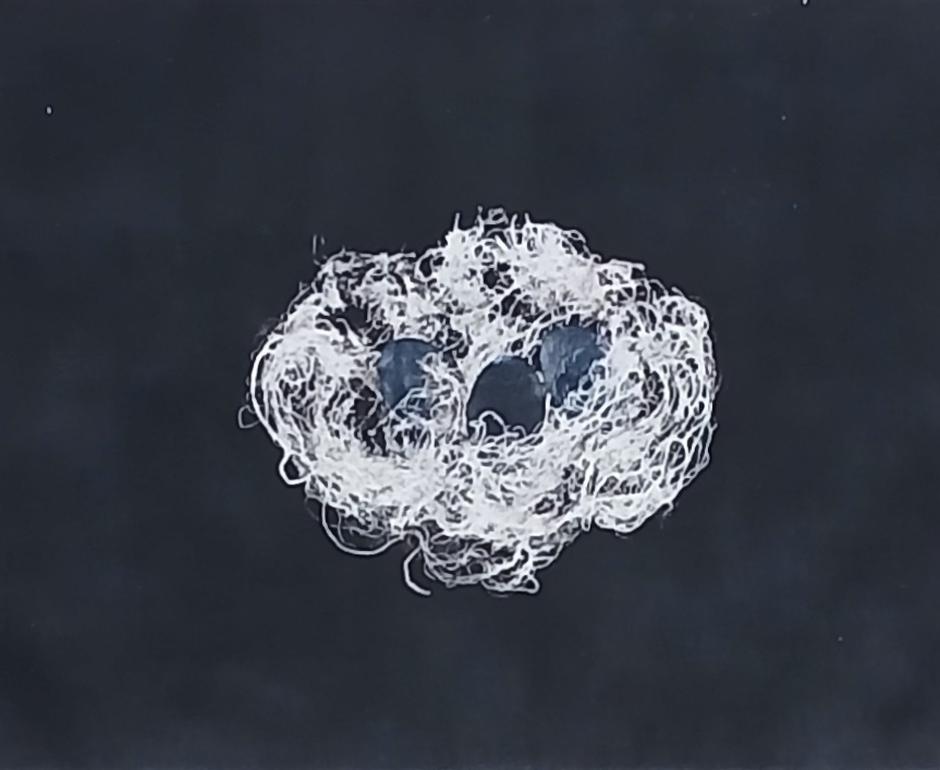 Kelly O'Neil, "Nest"
