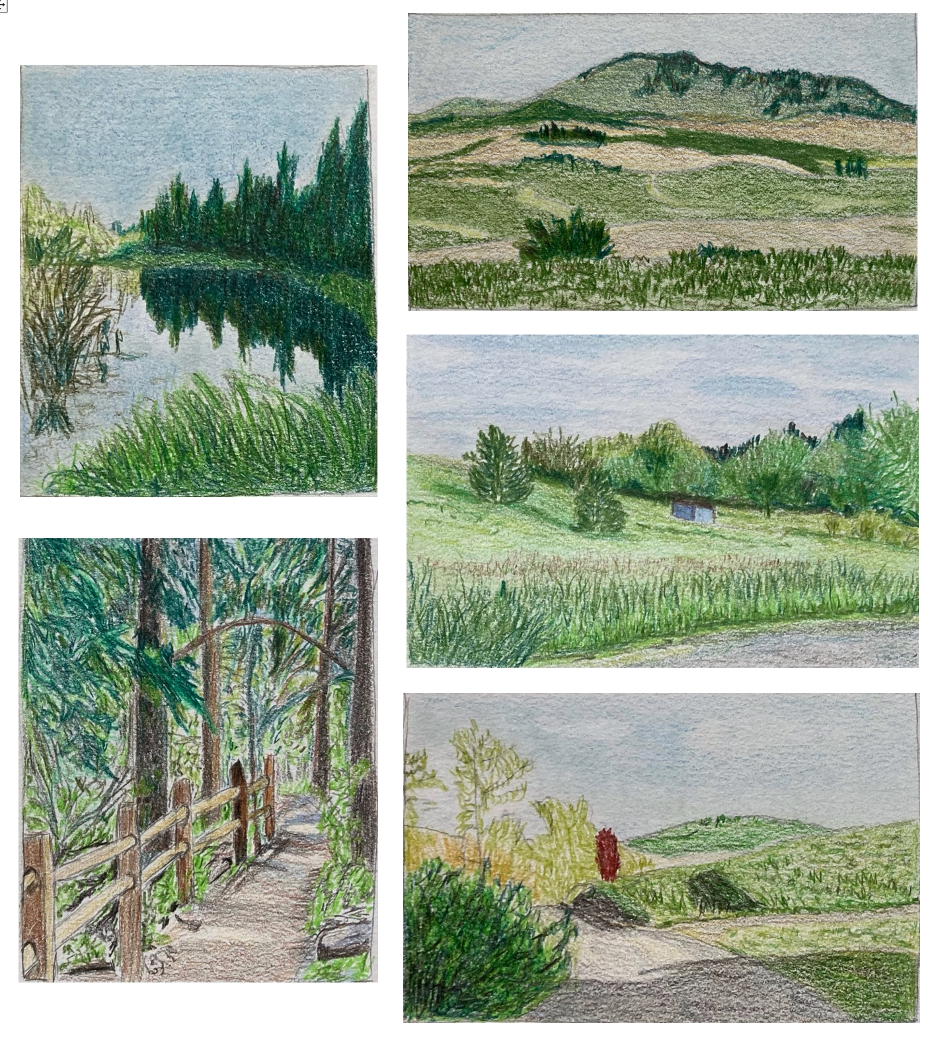 Plein Air Sketching: Landscapes in Miniature