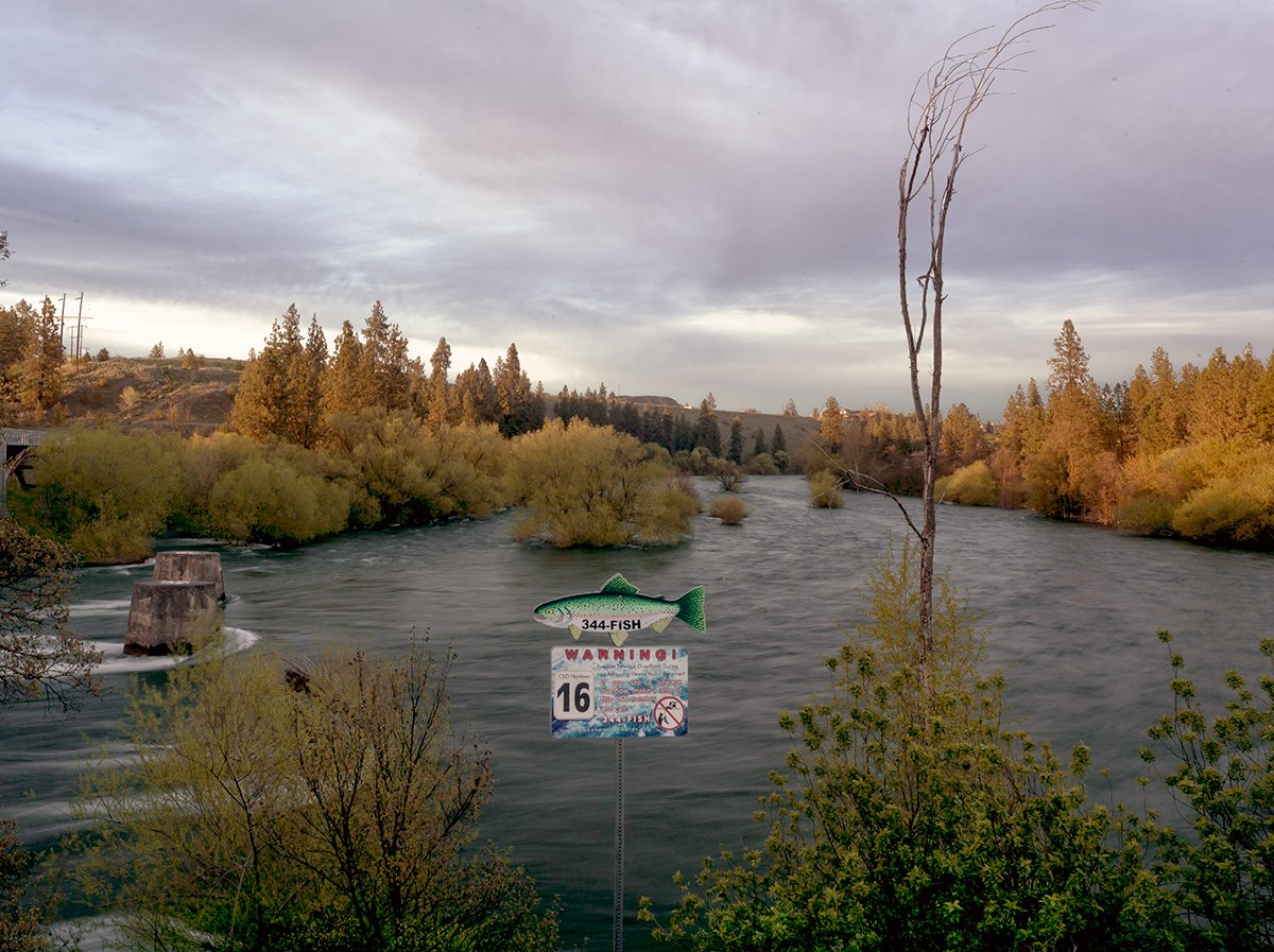  Dennis DeHart “Spokane Fish” 