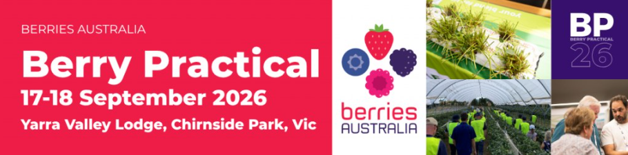 Berry Practical 2026