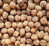 Mini-Technical Workshops for Nut Growers Soil Moisture Assessment and Irrigation Decision-Making 