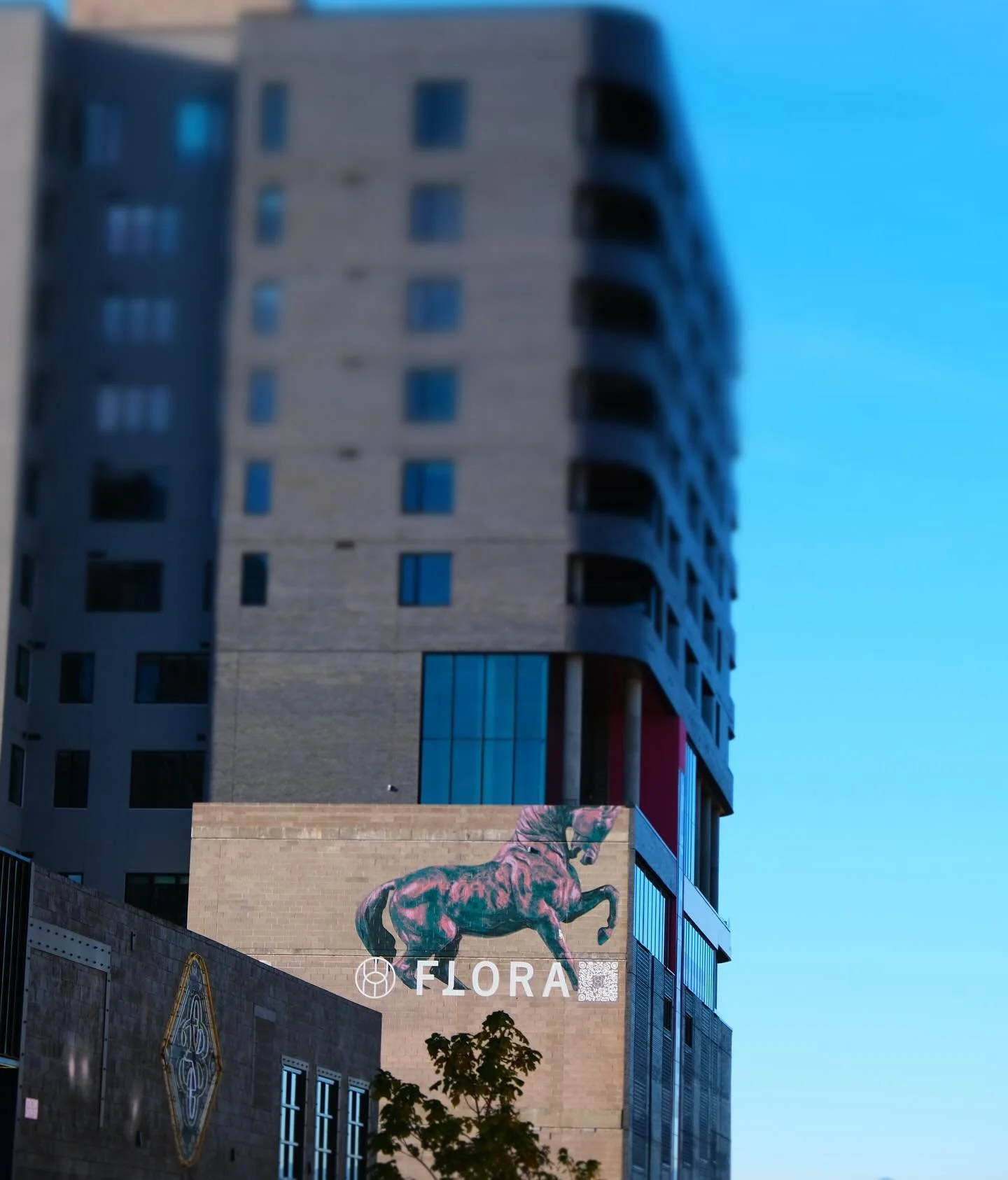 Now that&rsquo;s a big horse!