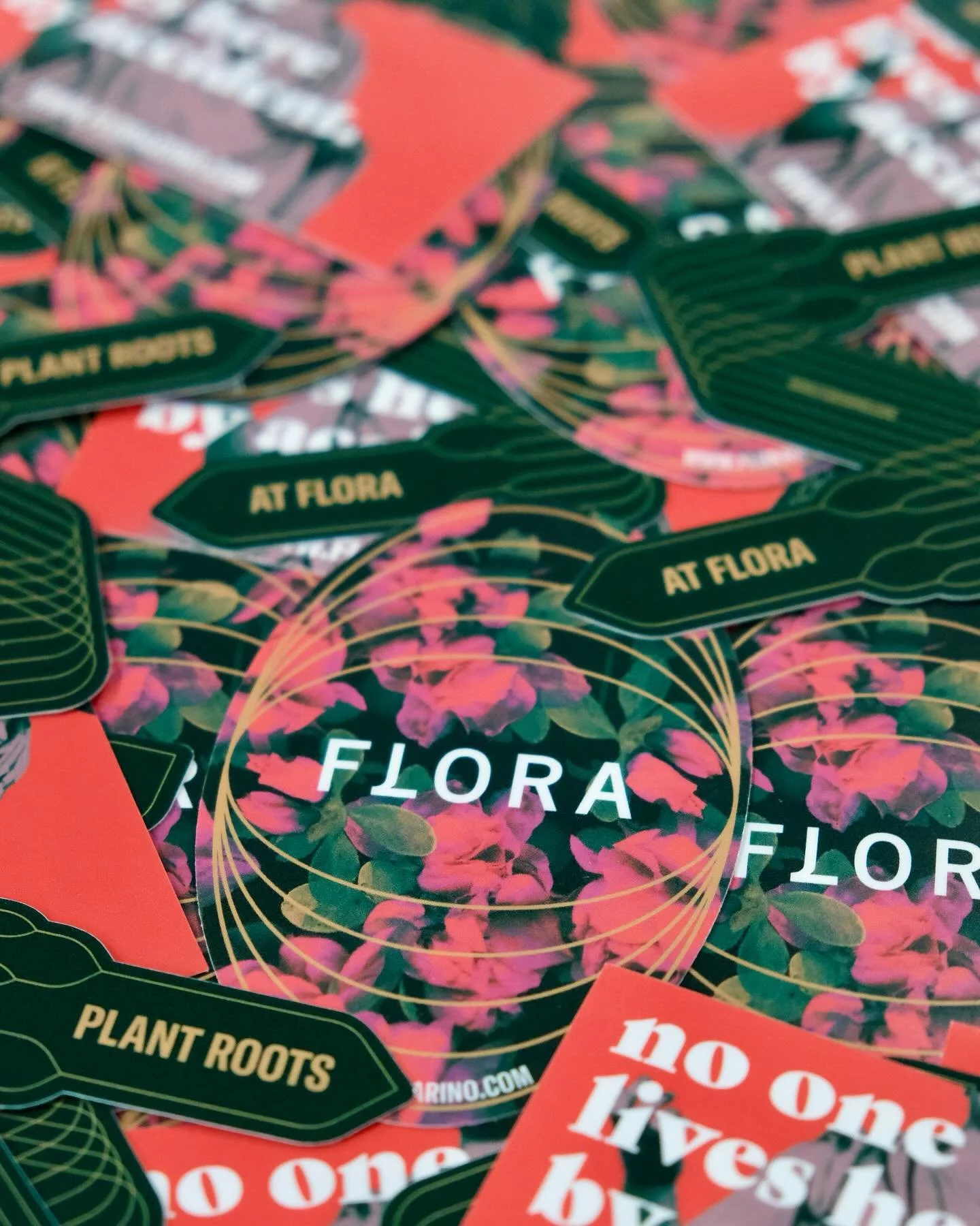 One of the many projects we did for our new neighbors @flora_rino, we will be sharing more work we did for them soon