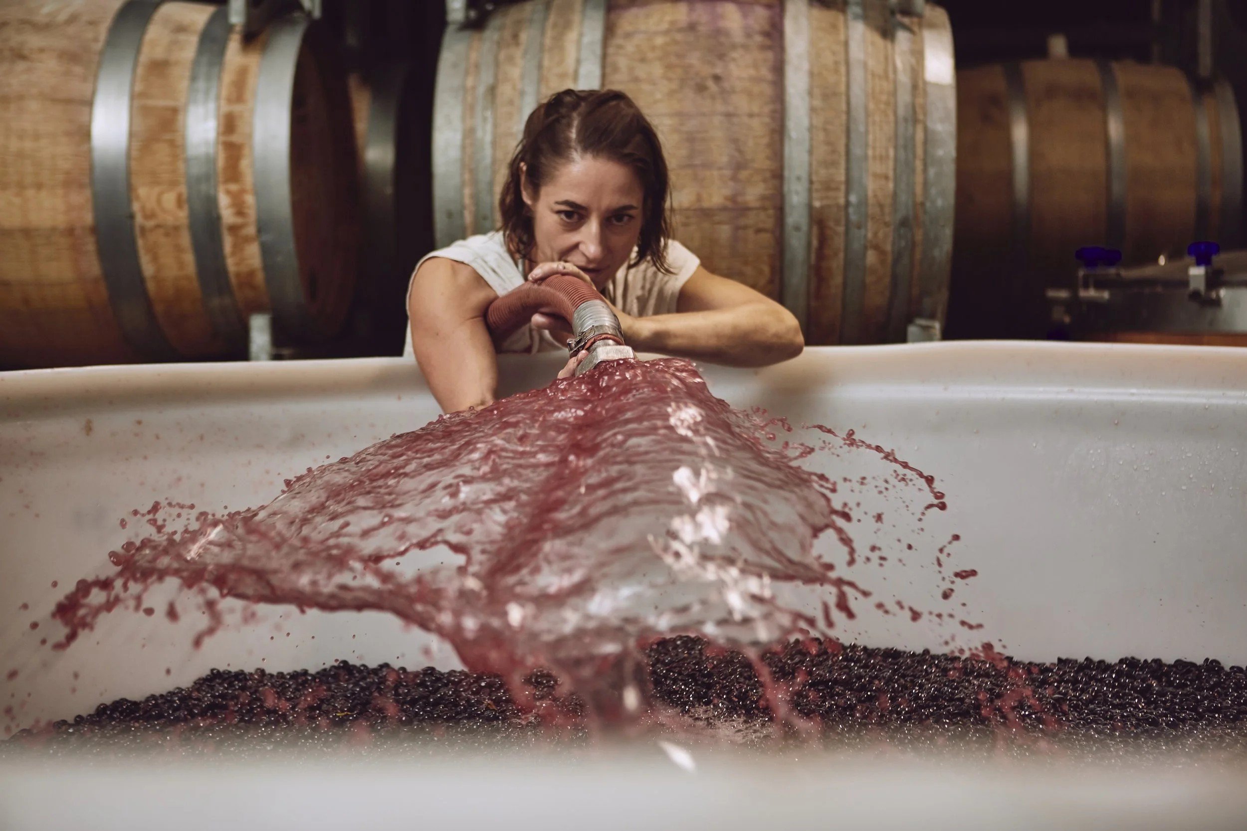 Wine Tasting - Susuro Wines