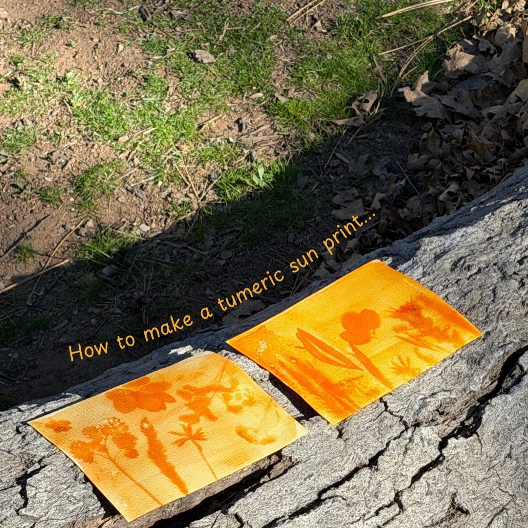 ☀️🌱🏕️&hellip;

What&rsquo;s a girls camping trip without a craft?!?! 

We tried out anthotype printing (aka sun printing) up in the mountains and it was so simple and fun🫶🏾 we followed a recipe from @sierradavis_daily and it turned out to be a su