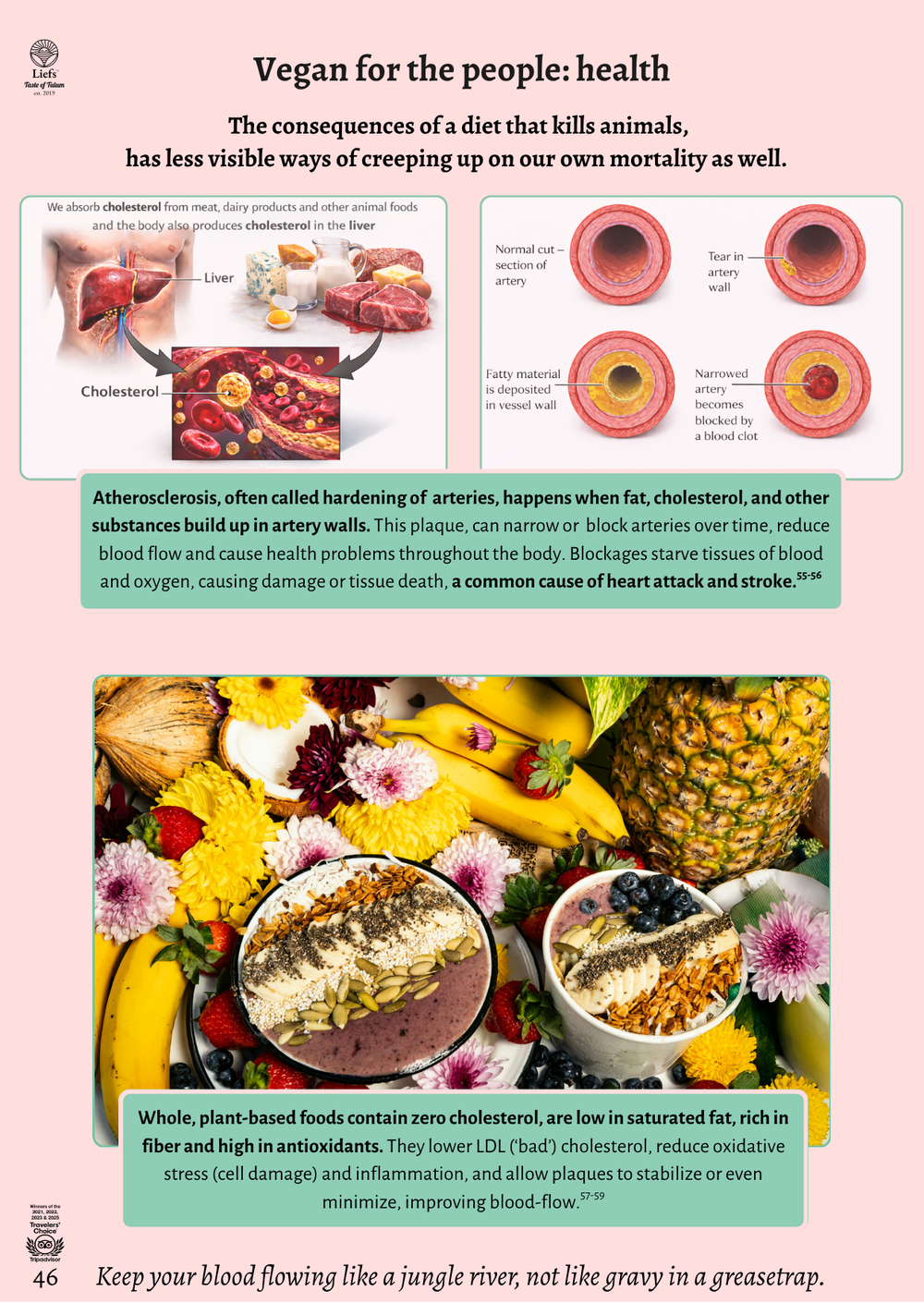 Page 46 — health science, arteries vs colorful vegan food