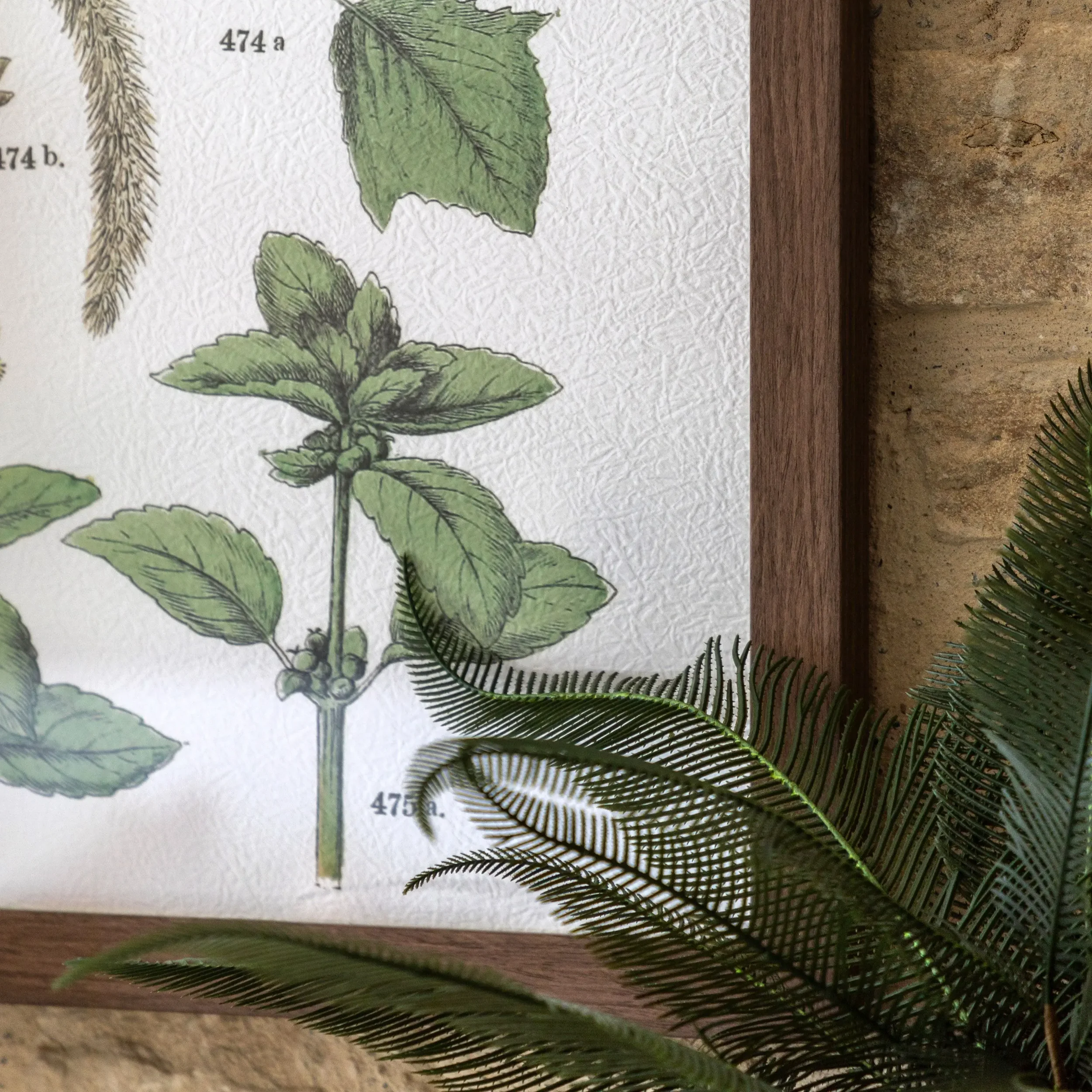 Foilage Study Detail.webp