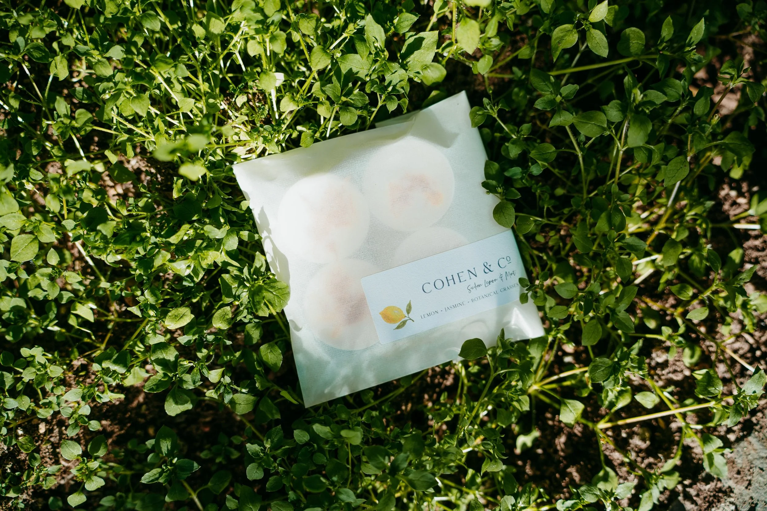 Lemon & Melt Wax Melts.jpg