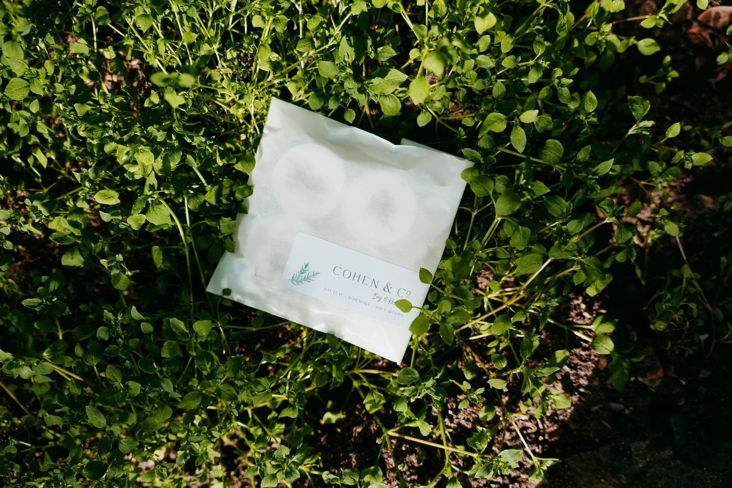 Bay & Rosemary Wax Melts.jpg