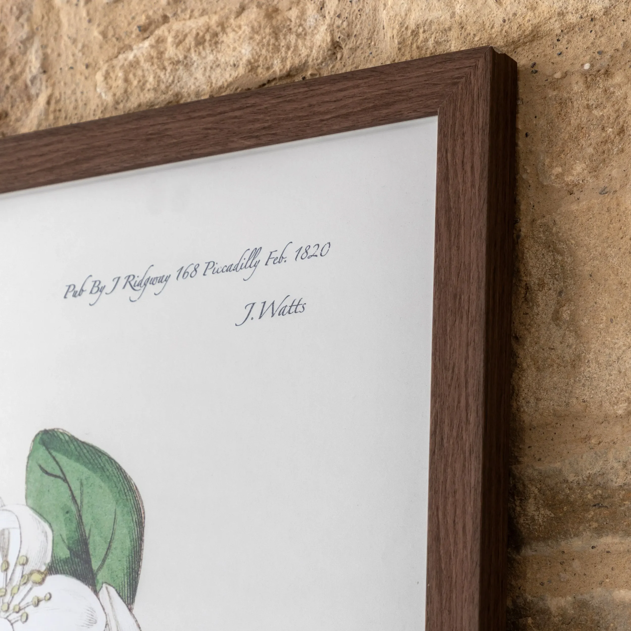 Foilage & Blooms Detail.webp