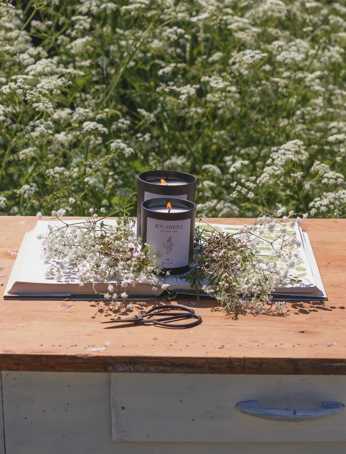 Bog Myrtle.jpeg