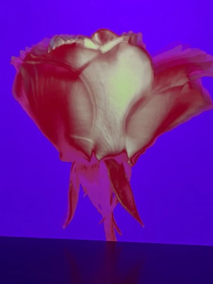 Here we are again defrosting 
Here and there, everywhere, exhausting
Here, I trust what once I buried in dirt
Here a hug, planted in my old t-shirt

Somewhere in winter and spring
Somewhere in listening
Somewhere in between 
Somewhere gray, and somew